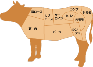 牛肉の部位 イラスト