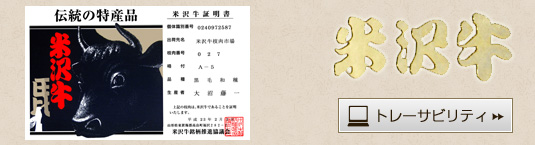 ȥ졼ӥƥ